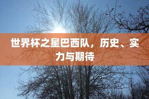 世界杯之星巴西队,历史、实力与期待