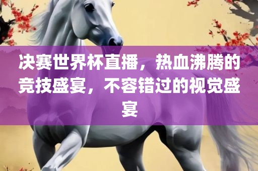 决赛世界杯直播,热血沸腾的竞技盛宴,不容错过的视觉盛宴