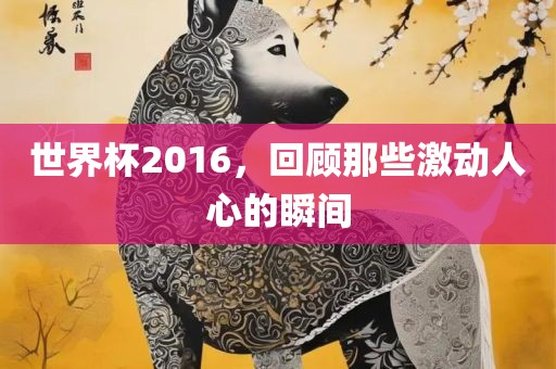 世界杯2016,回顾那些激动人心的瞬间