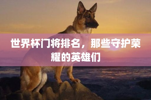 世界杯门将排名,那些守护荣耀的英雄们