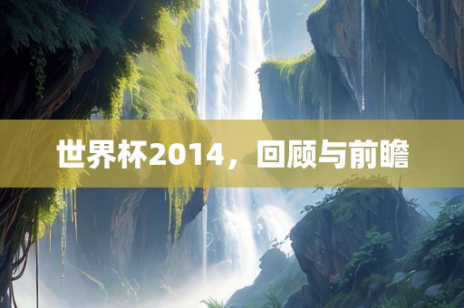 世界杯2014,回顾与前瞻