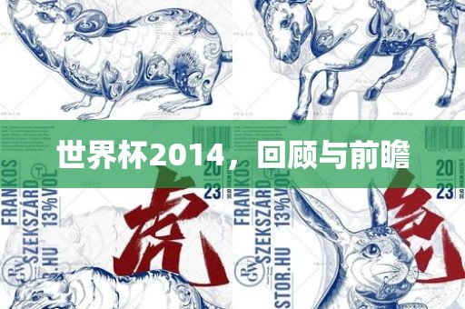 世界杯2014,回顾与前瞻