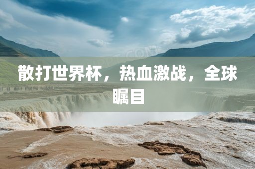 散打世界杯,热血激战,全球瞩目
