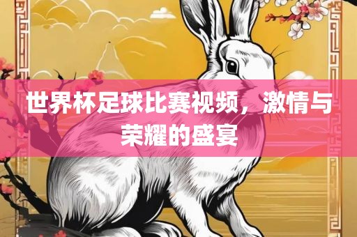 世界杯足球比赛视频,激情与荣耀的盛宴