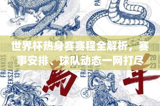 世界杯热身赛赛程全解析,赛事安排、球队动态一网打尽