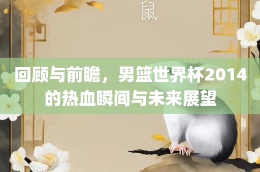 回顾与前瞻,男篮世界杯2014的热血瞬间与未来展望