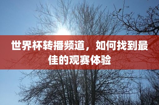 世界杯转播频道,如何找到最佳的观赛体验