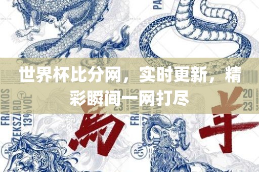世界杯比分网,实时更新,精彩瞬间一网打尽