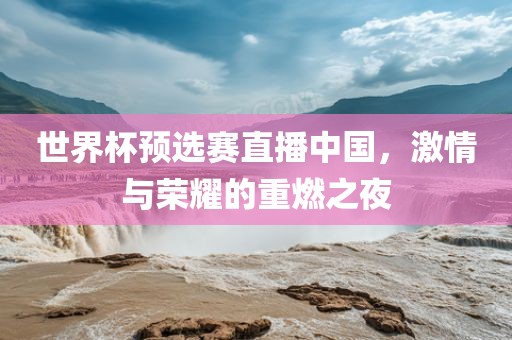 世界杯预选赛直播中国,激情与荣耀的重燃之夜