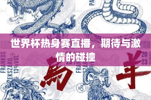 世界杯热身赛直播,期待与激情的碰撞