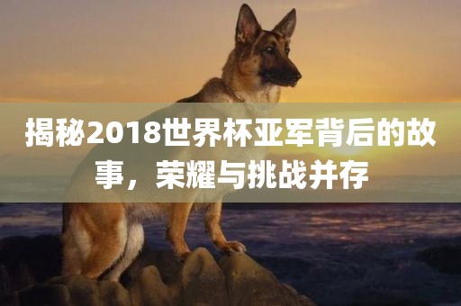 揭秘2018世界杯亚军背后的故事,荣耀与挑战并存
