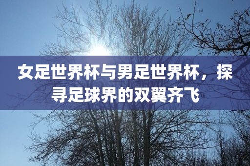 女足世界杯与男足世界杯,探寻足球界的双翼齐飞