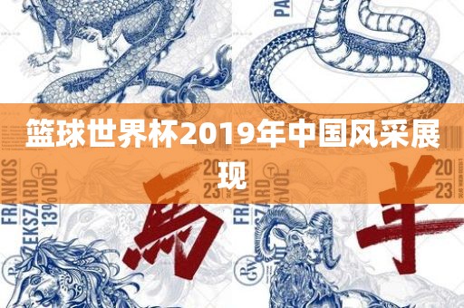 篮球世界杯2019年中国风采展现
