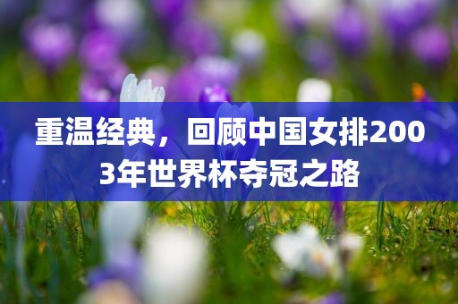 重温经典,回顾中国女排2003年世界杯夺冠之路