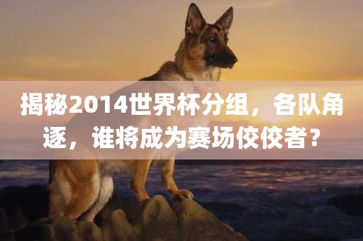 揭秘2014世界杯分组,各队角逐,谁将成为赛场佼佼者?
