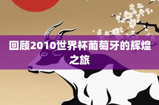 回顾2010世界杯葡萄牙的辉煌之旅