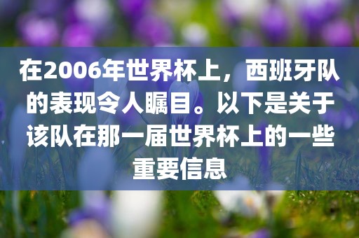 在2006年世界杯上,西班牙队的表现令人瞩目。以下是关于该队在那一届世界杯上的一些重要信息