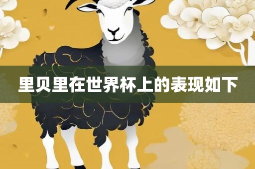 里贝里在世界杯上的表现如下