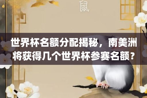 世界杯名额分配揭秘,南美洲将获得几个世界杯参赛名额?