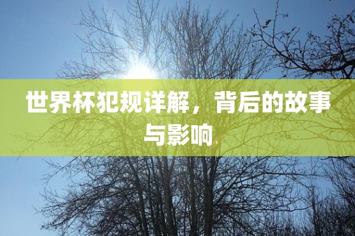 世界杯犯规详解,背后的故事与影响