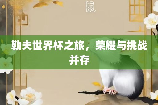 勒夫世界杯之旅,荣耀与挑战并存