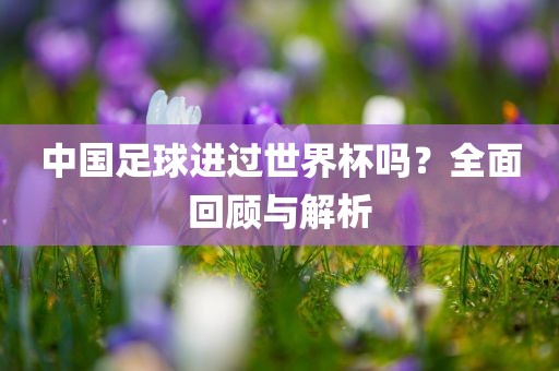 中国足球进过世界杯吗?全面回顾与解析