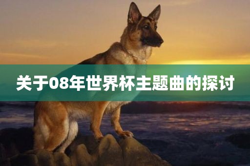 关于08年世界杯主题曲的探讨