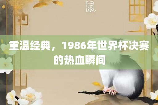 重温经典,1986年世界杯决赛的热血瞬间