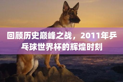 回顾历史巅峰之战,2011年乒乓球世界杯的辉煌时刻