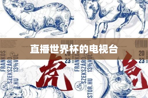 直播世界杯的电视台