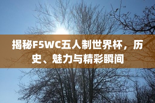 揭秘F5WC五人制世界杯,历史、魅力与精彩瞬间