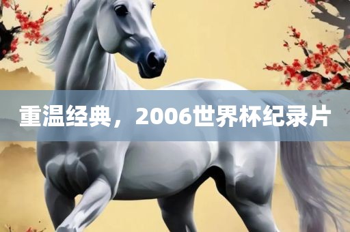 重温经典,2006世界杯纪录片