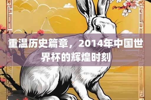 重温历史篇章,2014年中国世界杯的辉煌时刻