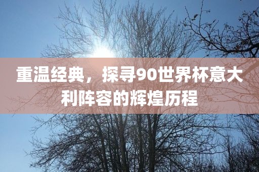 重温经典,探寻90世界杯意大利阵容的辉煌历程