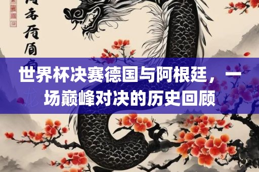 世界杯决赛德国与阿根廷,一场巅峰对决的历史回顾