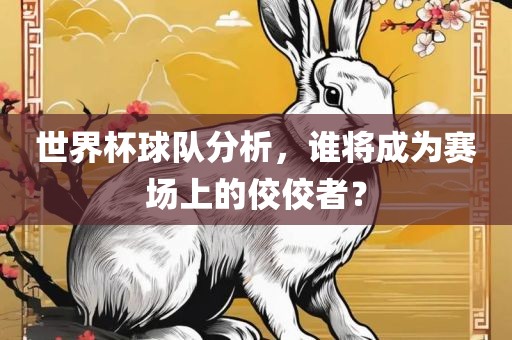 世界杯球队分析,谁将成为赛场上的佼佼者?