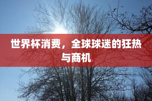 世界杯消费,全球球迷的狂热与商机