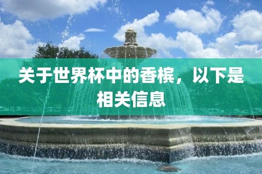 关于世界杯中的香槟,以下是相关信息