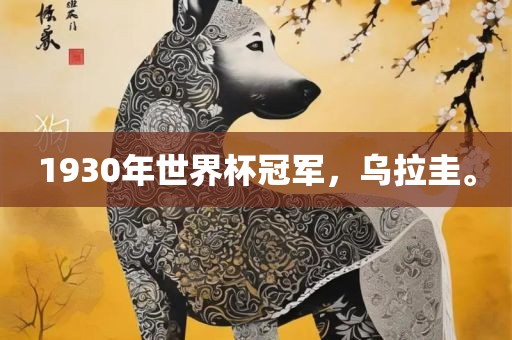 1930年世界杯冠军,乌拉圭。