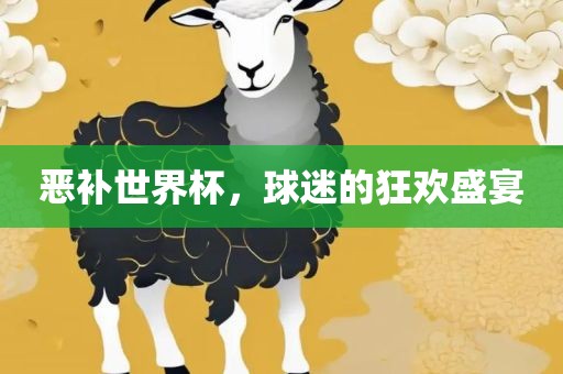 恶补世界杯,球迷的狂欢盛宴