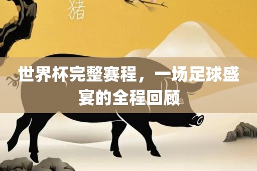 世界杯完整赛程,一场足球盛宴的全程回顾