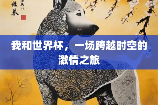 我和世界杯,一场跨越时空的激情之旅