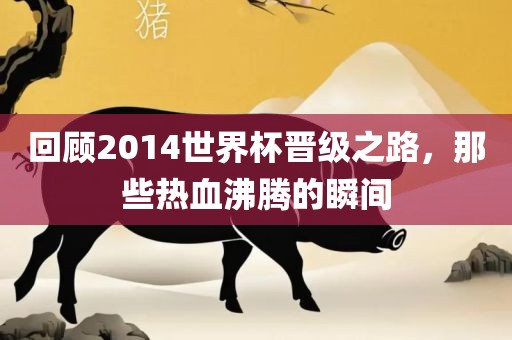 回顾2014世界杯晋级之路,那些热血沸腾的瞬间