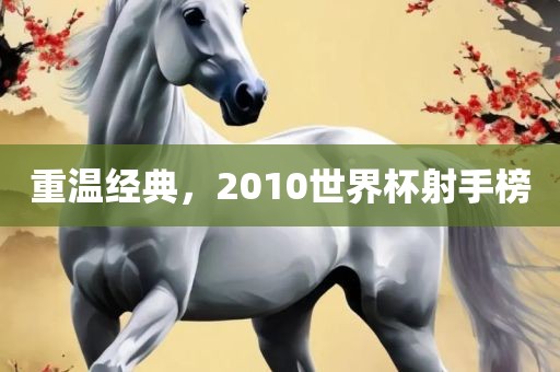 重温经典,2010世界杯射手榜