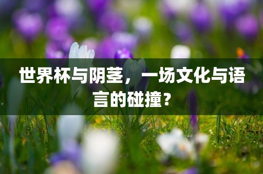 世界杯与阴茎,一场文化与语言的碰撞?