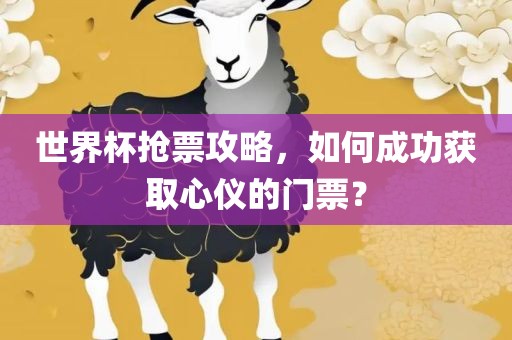 世界杯抢票攻略,如何成功获取心仪的门票?