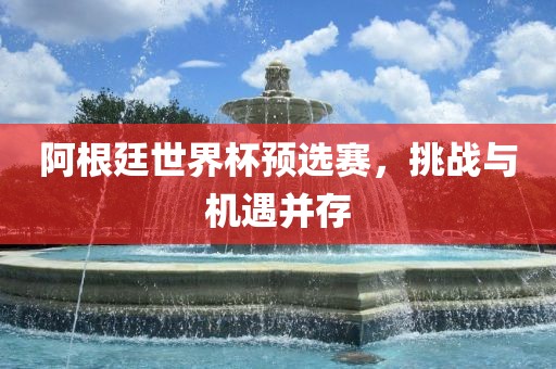 阿根廷世界杯预选赛,挑战与机遇并存