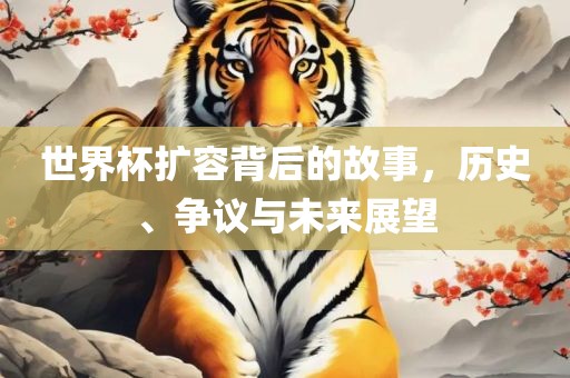 世界杯扩容背后的故事,历史、争议与未来展望