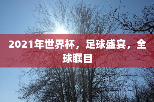 2021年世界杯,足球盛宴,全球瞩目