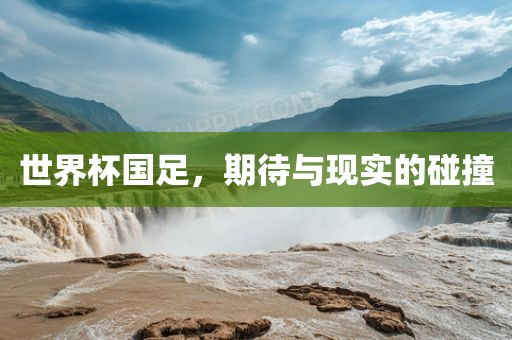 世界杯国足,期待与现实的碰撞